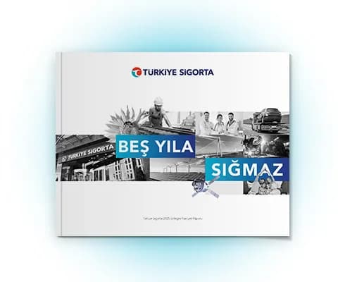 2025 Entegre Faaliyet Raporu