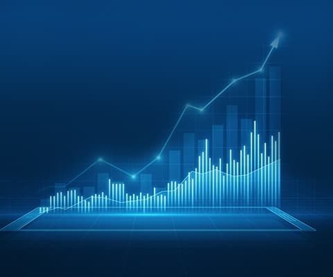 2024 Olağan Genel Kurul Toplantısı